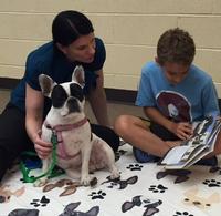 Bella the French Bulldog listens to a reader at the Whitman Library.